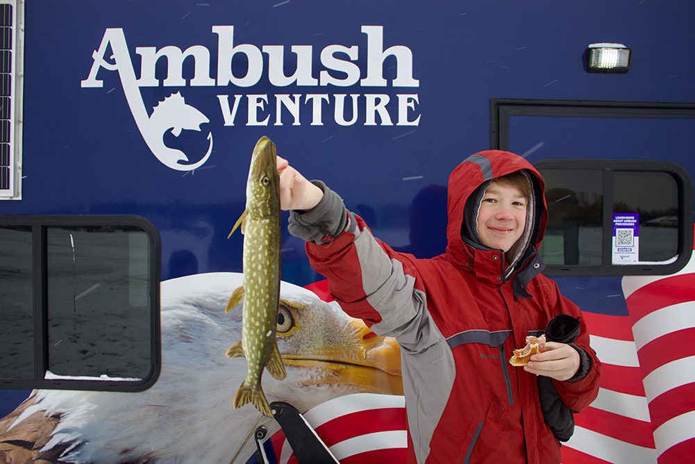 Displaying northern and Ambush Venture Displaying northern and Ambush Venture